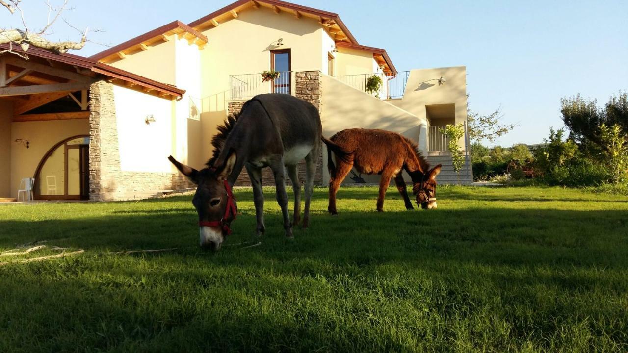 Agriturismo Frantoio Mafrica Limbadi Exteriér fotografie